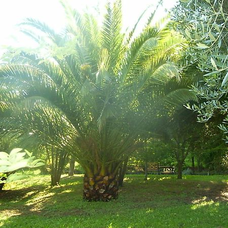 La Vecchia Quercia Acomodação com café da manhã Selci  Exterior foto